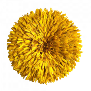 Juju hat yellow