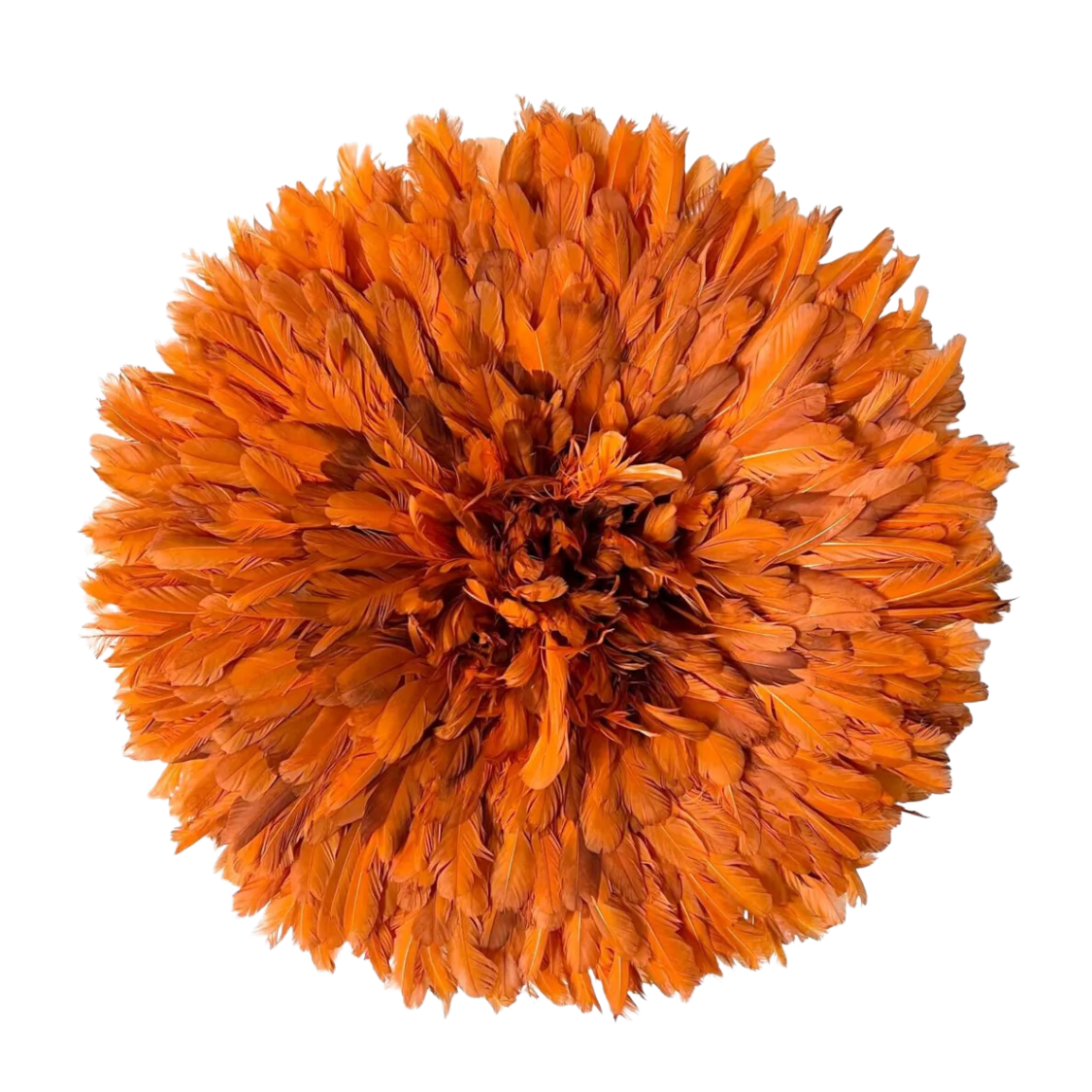 Juju hat orange